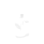Make a Payment